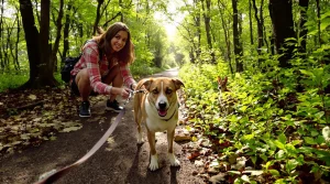 Au printemps, les chiens doivent être tenus en laisse en forêt : « il faut respecter l’écosystème »