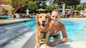 « C’est un geste de soutien à la cause animale » : dans l’Aude, ce camping ouvre sa piscine aux chiens