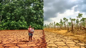 Des chercheurs brésiliens prouvent que détruire les forêts modifie la météo presque aussitôt