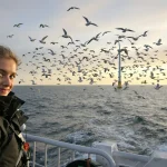 Éoliennes et oiseaux : la vérité sur leur danger réel, ce que les études confirment aujourd’hui